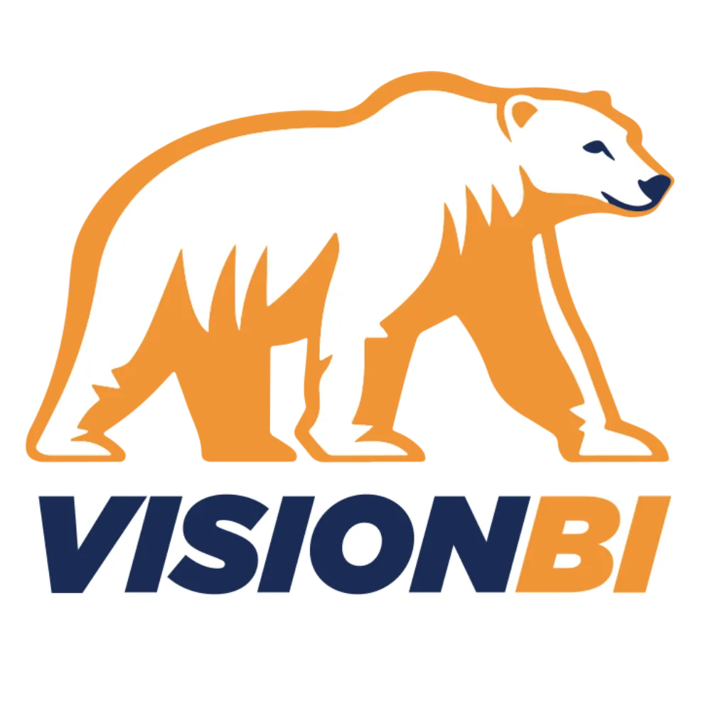 Vision BI